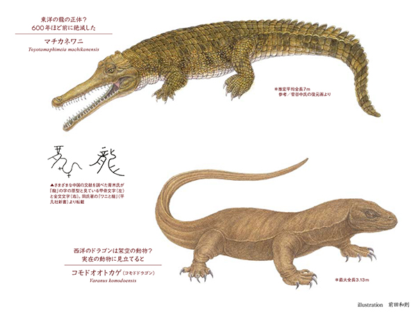 似姿違質「マチカネワニ VS コモドオオトカゲ（コモドドラゴン）」