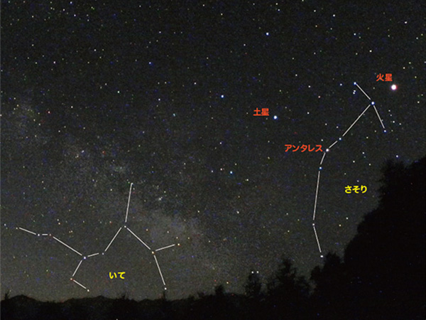 観察法のイロハのイ 夜空に天の川を探（さが）そう