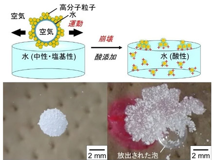 酸性で割れて気体を放出、シナモン粒子使ったシャボン玉開発 大阪工業大