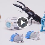 ともにキヅク社会（4）カプセルトイでキヅク社会