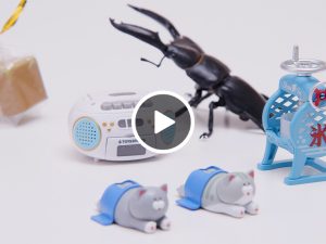 ともにキヅク社会（4）カプセルトイでキヅク社会